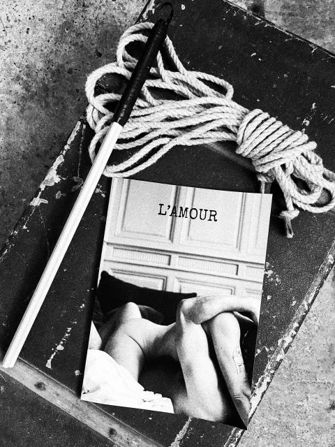 L'Amour et la Violence, Tome I - Le Livre Imprimé